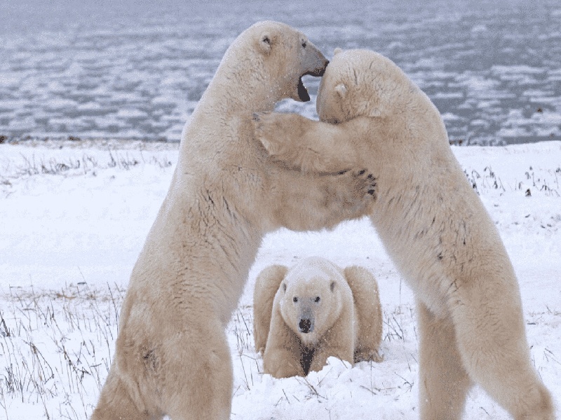 泰国试管吃住宿（北京试管筛查）